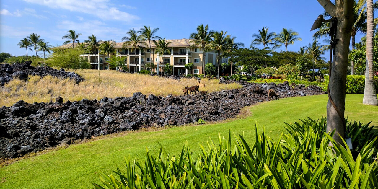 Hilton Grand Vacations Club Kohala Suites Waikoloa