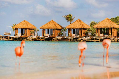 renaissance wind creek aruba resort exclusive island exotic escape