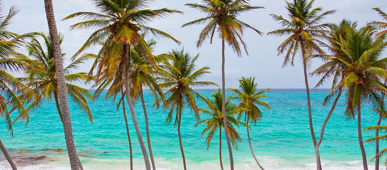 25 Caribbean Resorts for Winter