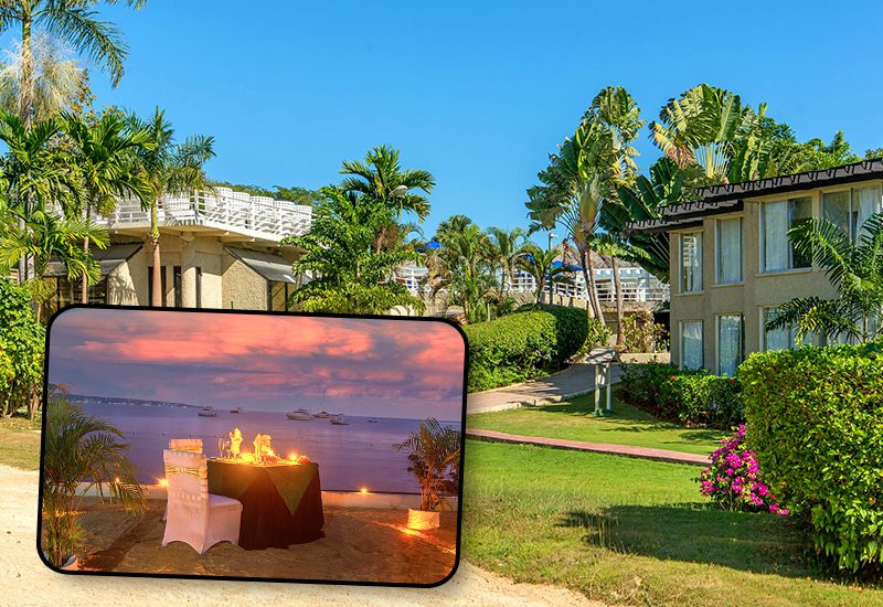 hedonism jamaica swingers lifestyle vacation