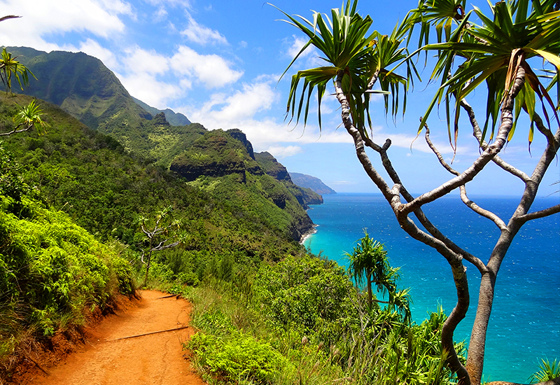 largest islands in hawaii kauai what to do