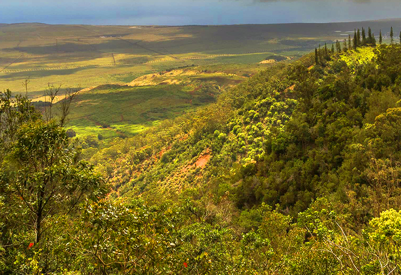 largest islands in hawaii best things to do