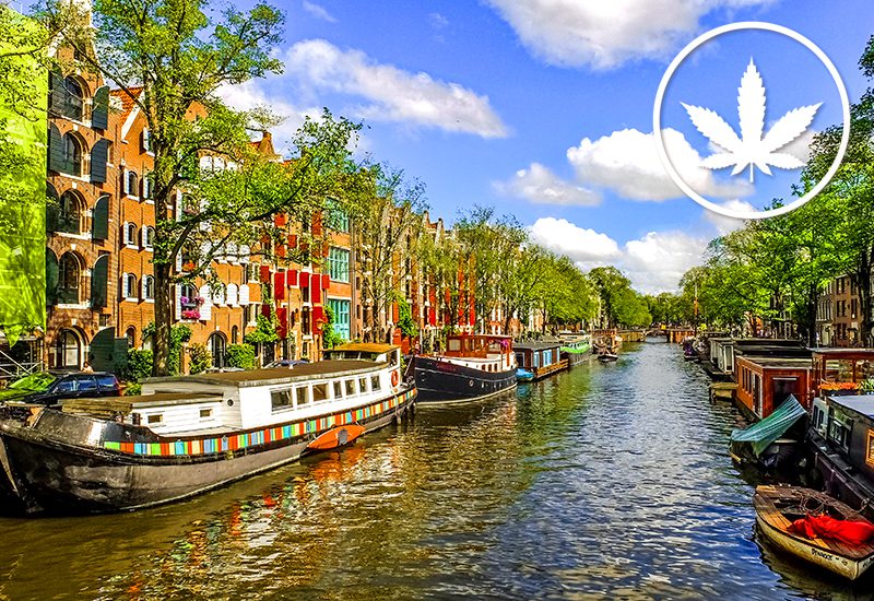weed-friendly destinations amsterdam netherlands tea marijuana escape