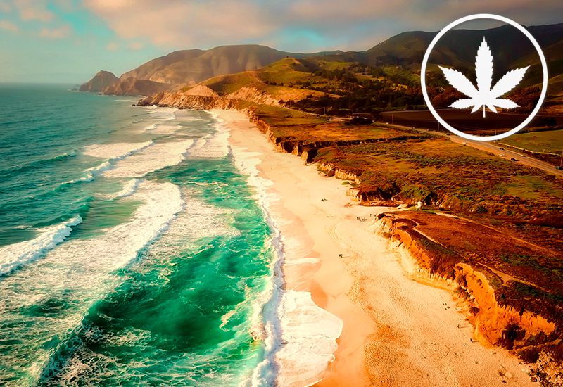weed-friendly destinations california state mary jane tropical travel tips