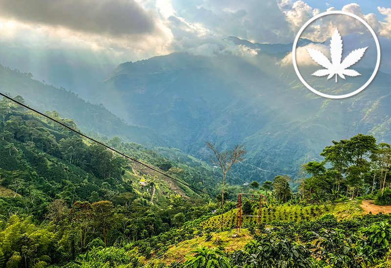 weed-friendly destinations columbia hash holiday