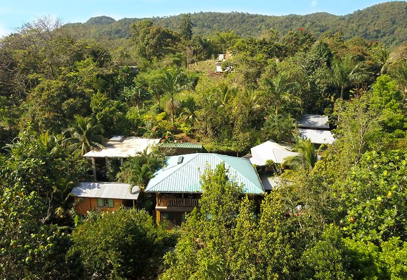 weed-friendly hotels in jamaica zimbali culinary retreats best pot caribbean experience