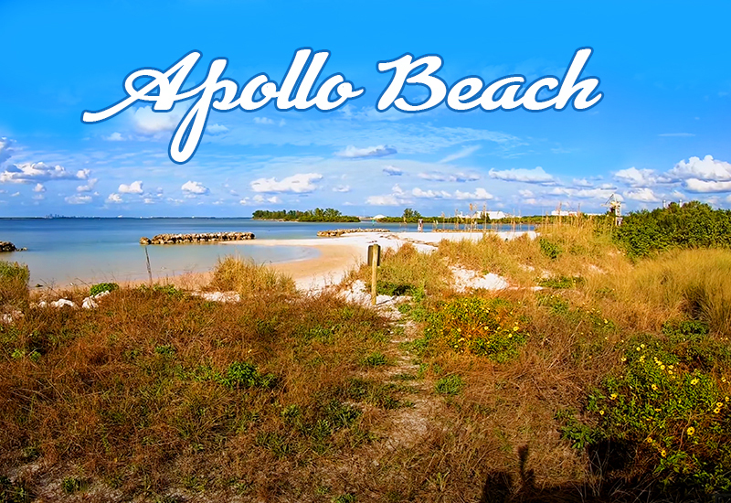 apollo beach nasa naked coastline