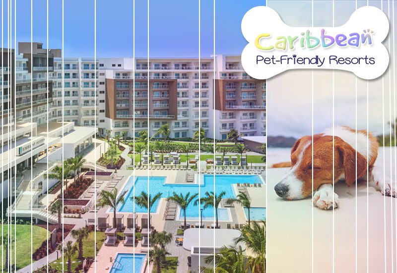 embassy suites by hilton aruba