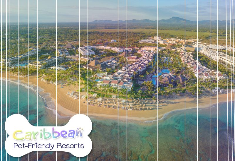secrets tides breathless punta cana dreams onyx dominican republic